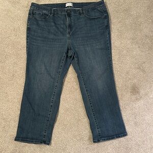 Lane Bryant Mid-Rise Straight Leg Jeans, size 24P, Good Used Condition